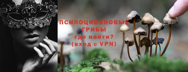 индика Балабаново
