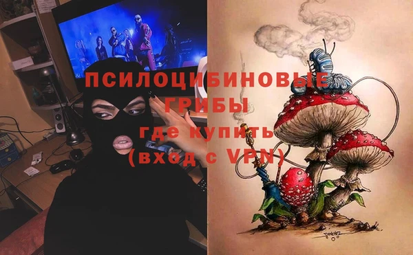 индика Балабаново