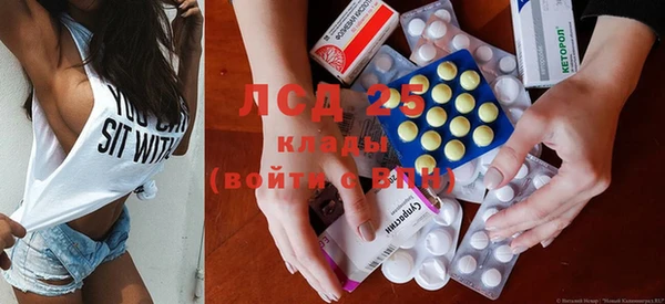 индика Балабаново
