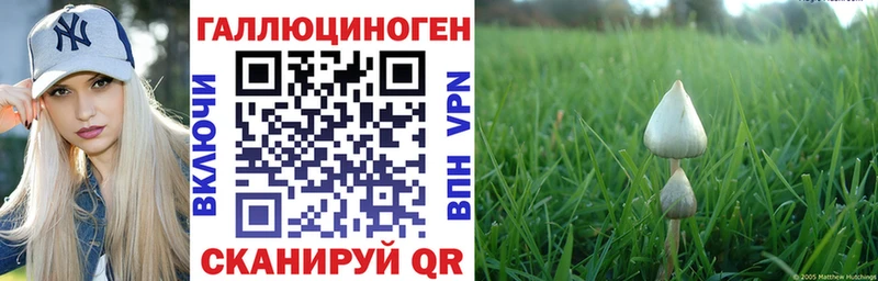 Псилоцибиновые грибы Psilocybine cubensis  где продают   mega вход  Гаврилов-Ям 